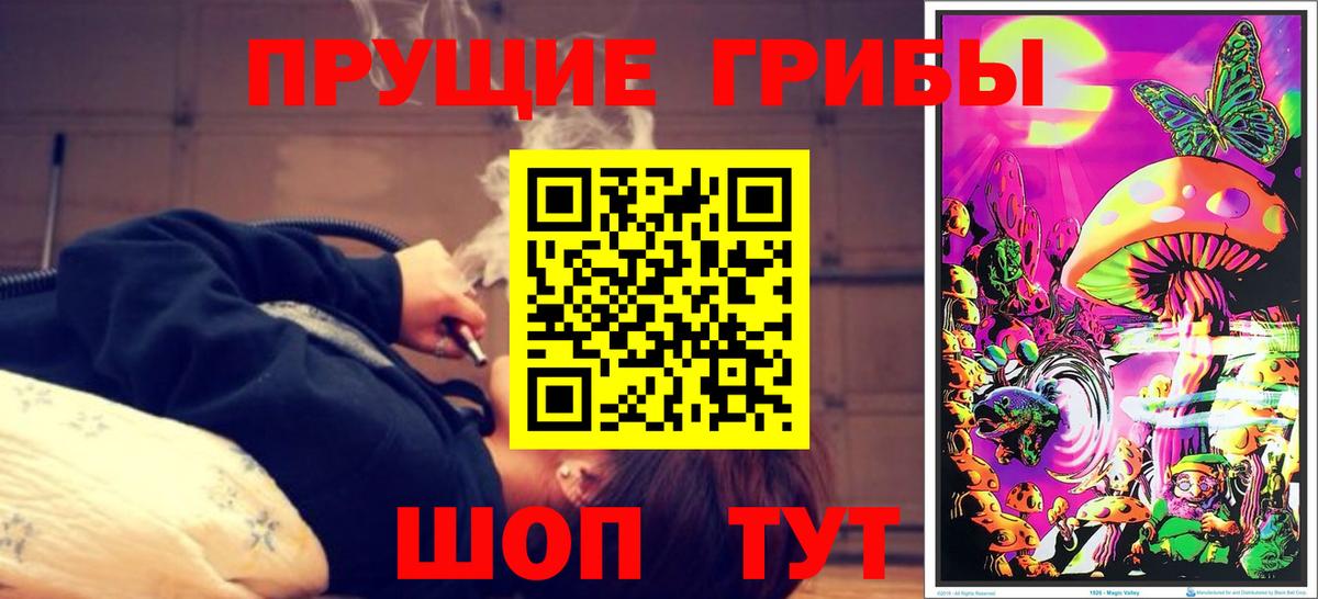 Галлюциногенные грибы Magic Shrooms Касимов